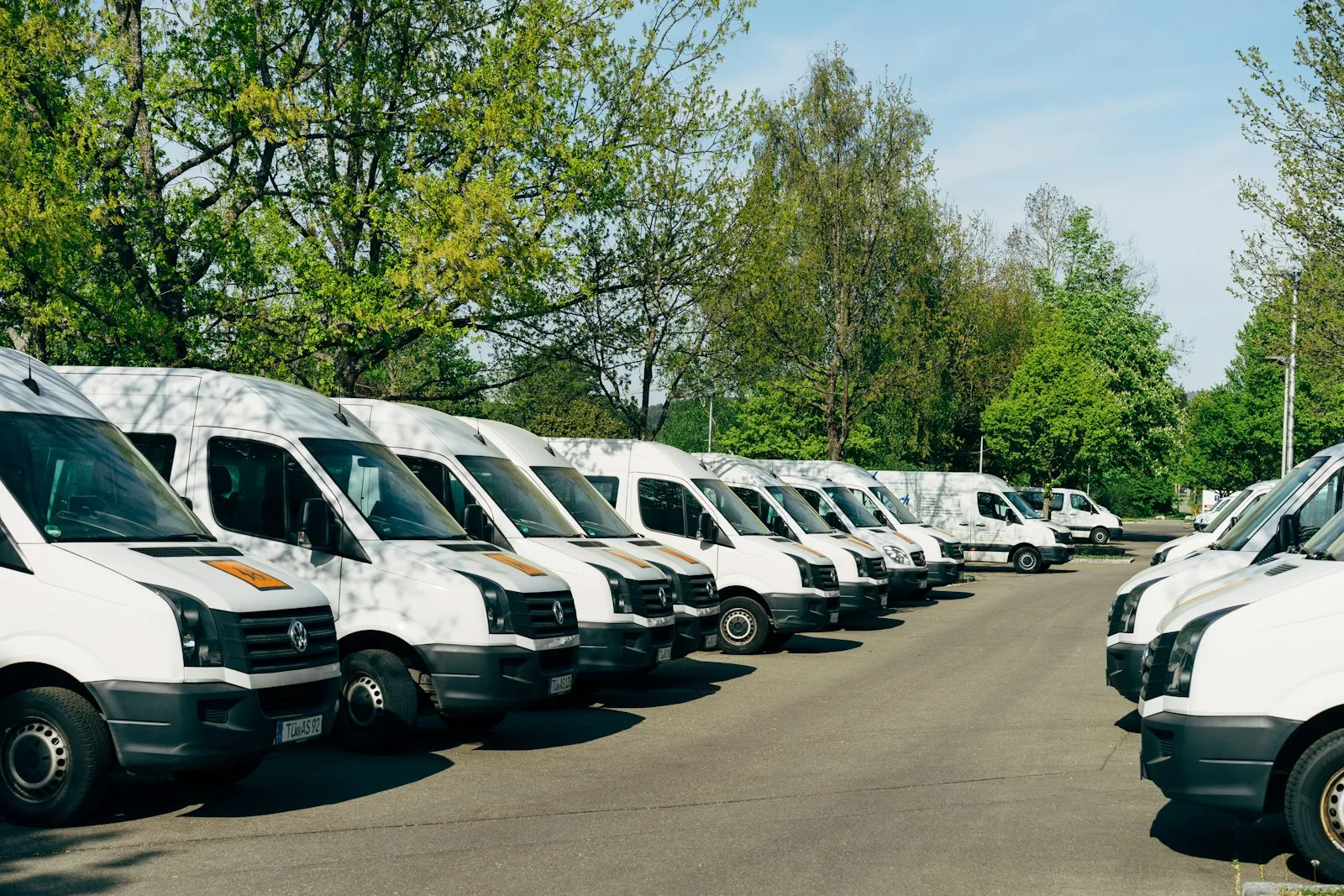 Ağaçların önündeki otoparkta yan yana sıralanmış beyaz ticari panelvan filosu